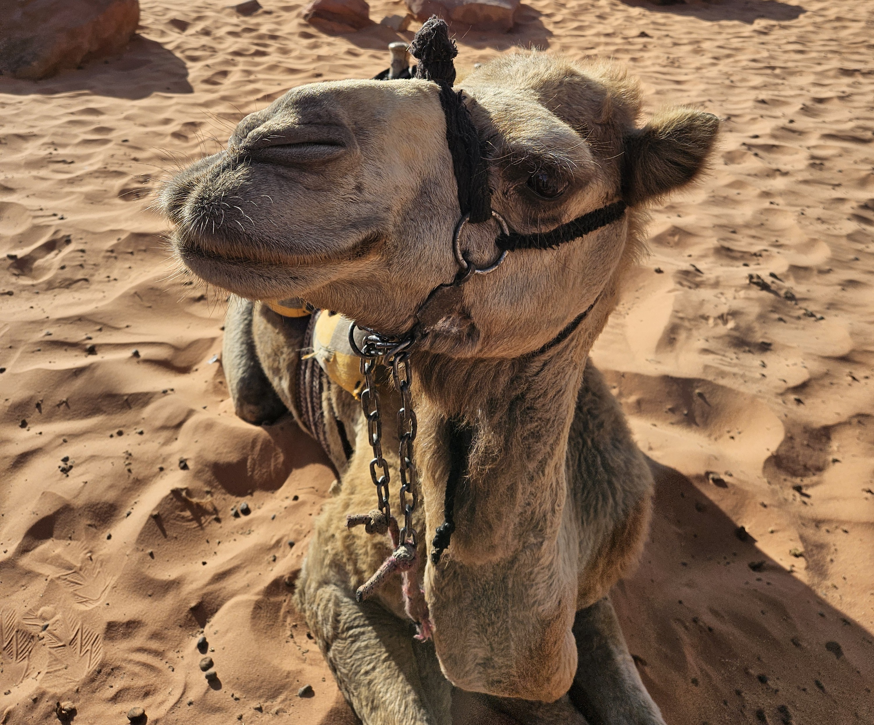 How I Built a Meal Planner with AI thumbnail