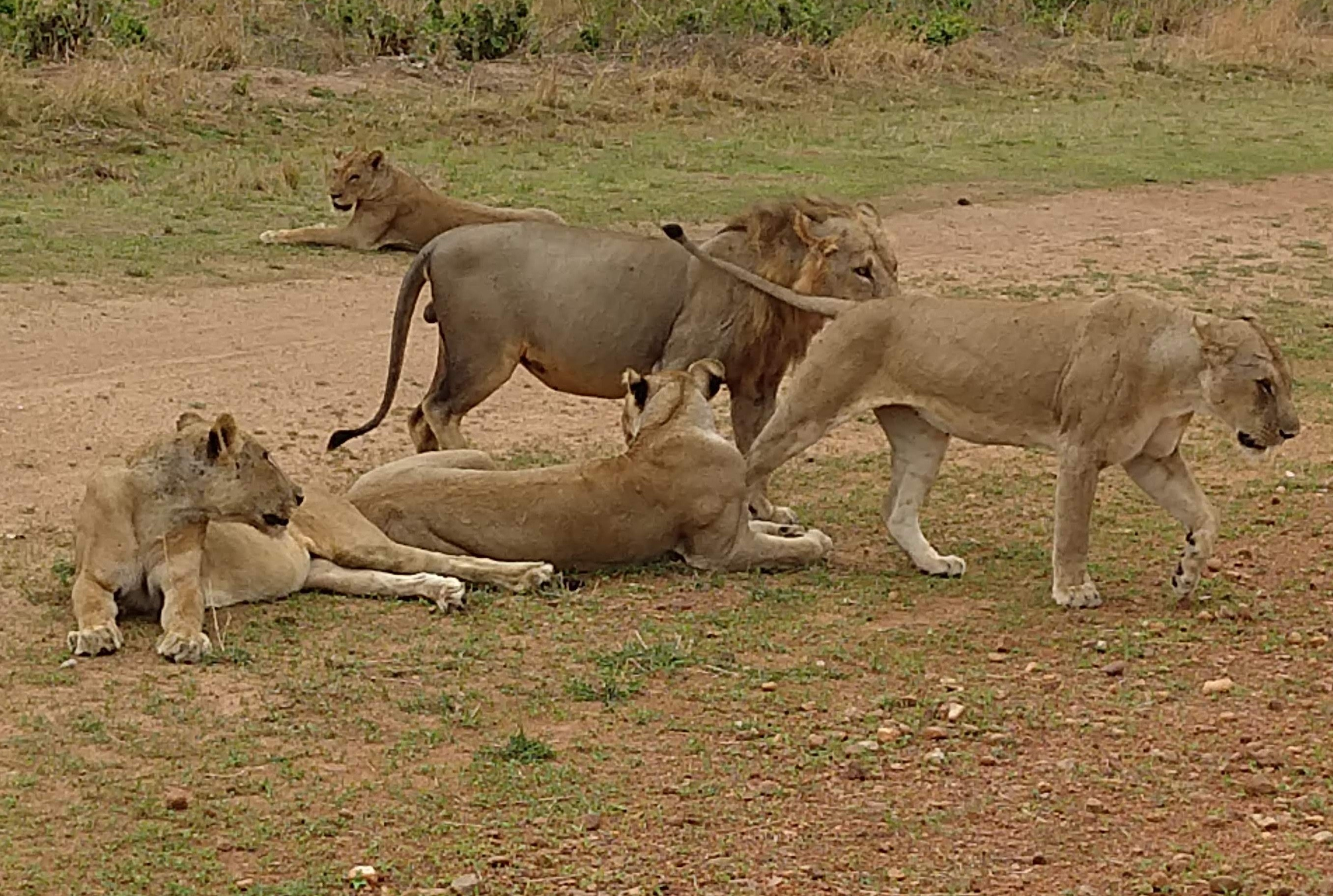 Project Log thumbnail